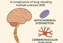Neurodegeneration