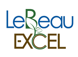New employee announcement at LeBeau Excel Ltd.
