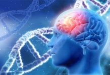 Alzheimer’s preventative care and approach with natural health supplements