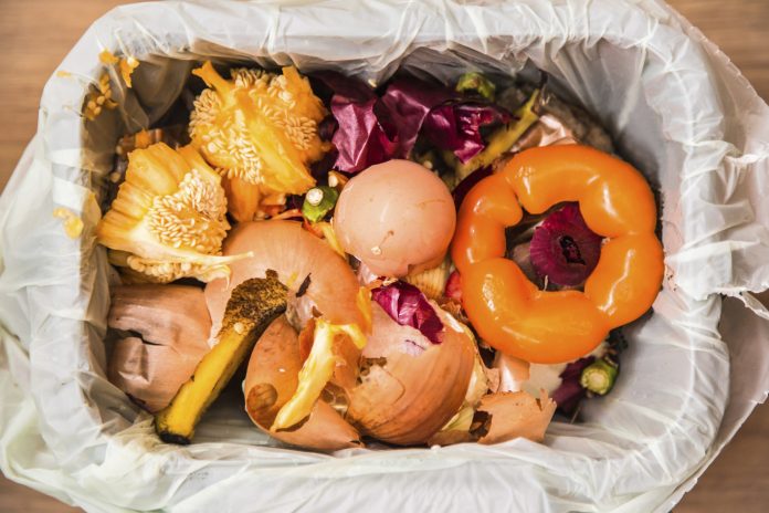 UK grocery chain generates electricity using food waste