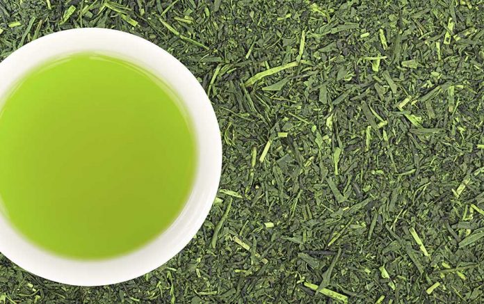 Japanese research shows green tea may reduce short-term memory loss