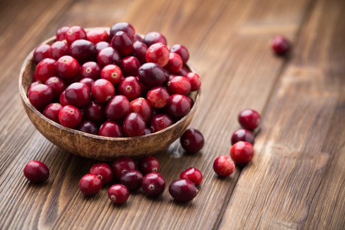 Pharmatoka Adopts the Cranberry and Supports Botanical Research