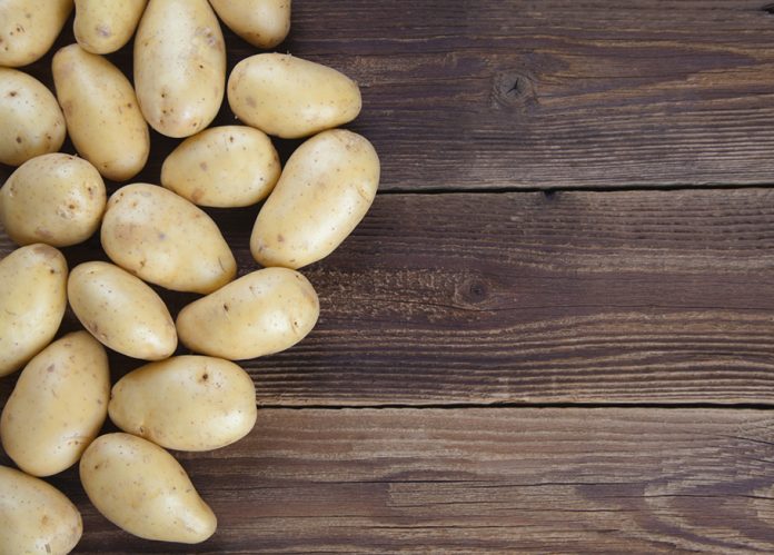 Metal objects found in two PEI potatoes