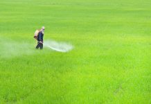 The Glyphosate Guide: You Are What You Eat