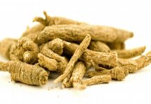 Adaptogens: Nature’s anti-stress fighters for women Adaptogens: Nature’s anti-stress fighters for women