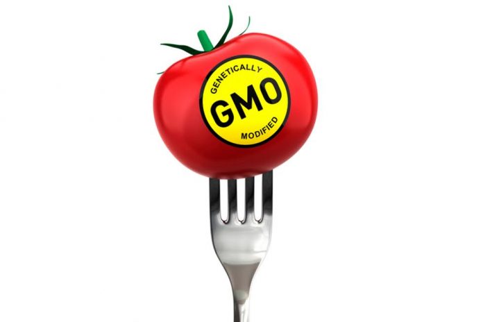 Parliament to debate and vote on GMO labelling: How can you help?