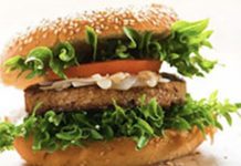 Saying No to Meat. What’s Behind the Rising Interest in Plant-Based Protein?