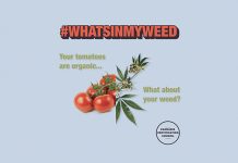 Organic Labeling Program Coming To Cannabis In 2020