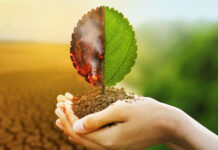 Groups Call for Organic Action to Implement Climate Solutions under Historic U.S Federal Law