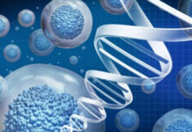 Cellular Ageing as a Retail Category