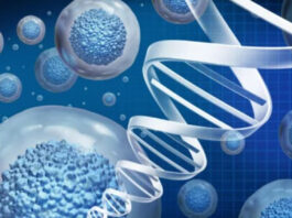 Cellular Ageing as a Retail Category