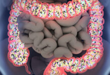 Why Gut Barrier Health Is Becoming One of Retail’s Most Strategic Wellness Categories