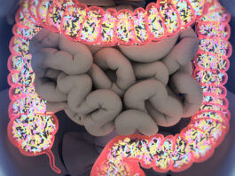 Why Gut Barrier Health Is Becoming One of Retail’s Most Strategic Wellness Categories